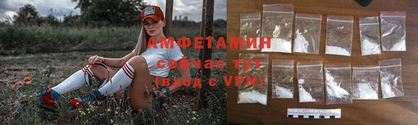 PSILOCYBIN Богданович