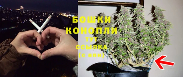 PSILOCYBIN Богданович